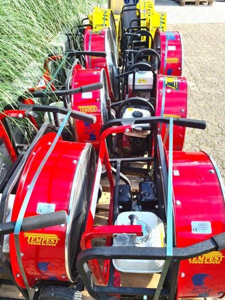 Preview: Ventilator Honda Motor Trommelventilator Bj. 2012