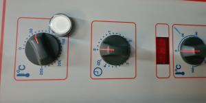 Wiesheu Wiwa Kombid?mpfer Backofen